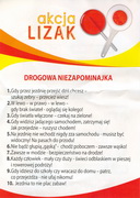 Lizak 26
