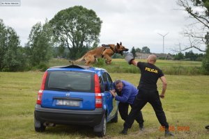 Toruńskie psy służbowe i ich przewodnicy w Pakości