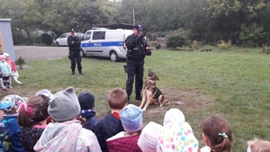 Dzieci przedszkolne oglądają pokaz tresury policyjnego psa służbowego