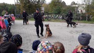 pokaz psów policyjnych