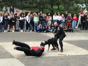 Pokaz tresury psów oraz pracy technika kryminalistyki podczas zajęć z licealistami w II LO w Toruniu.
