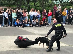 Pokaz tresury psów oraz pracy technika kryminalistyki podczas zajęć z licealistami w II LO w Toruniu.